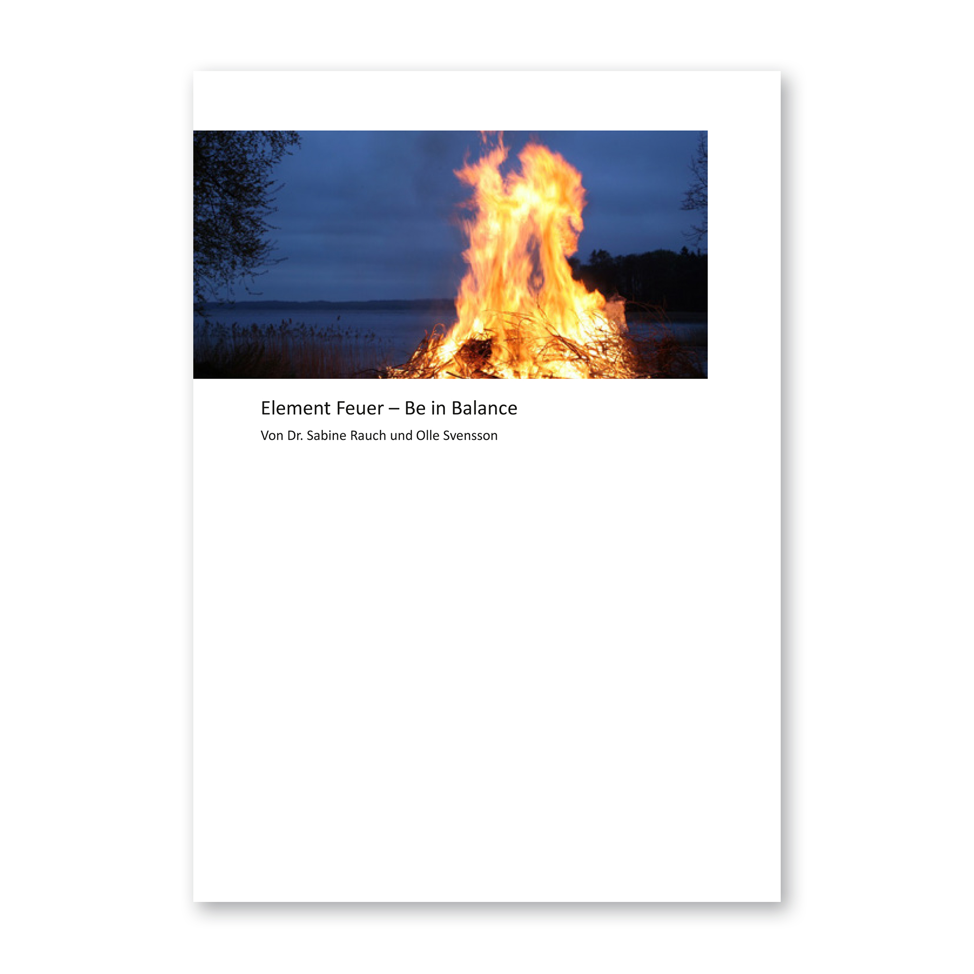 Patienteninfos BICOM® Prevent Element Feuer (DIN A5)